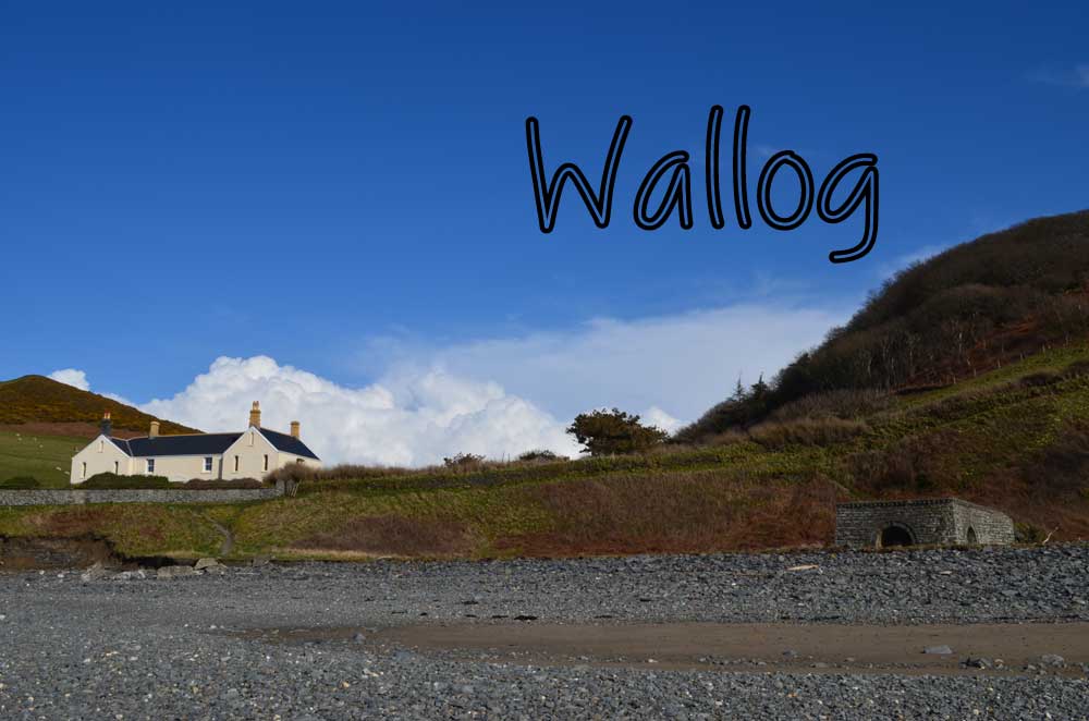 Wallog