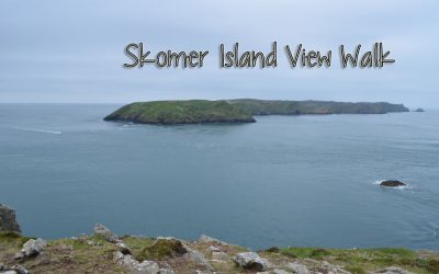 Skomer Island Views Pembrokeshire Coastal Path