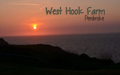 West Hook Farm Campsite Pembrokeshire