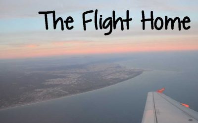 The Flight Home